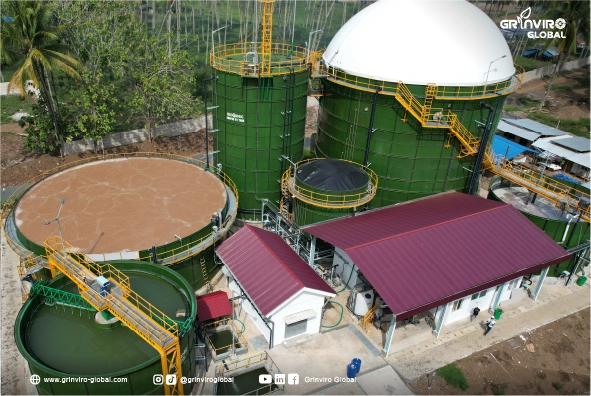Coconut-Industry